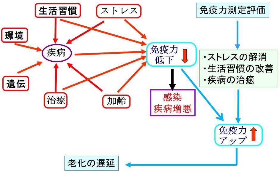 免疫力低下の兆候と症状